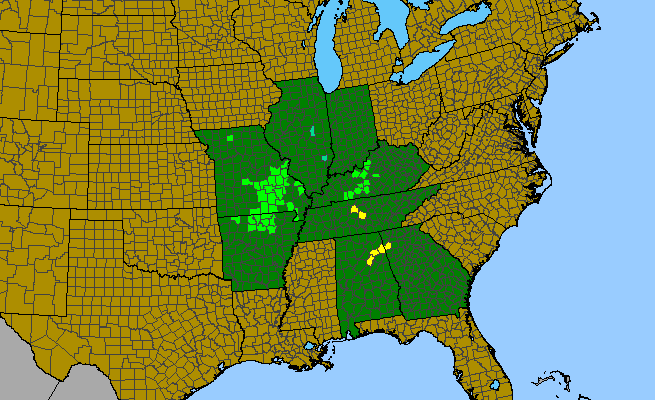 The range of Echinacea simulata